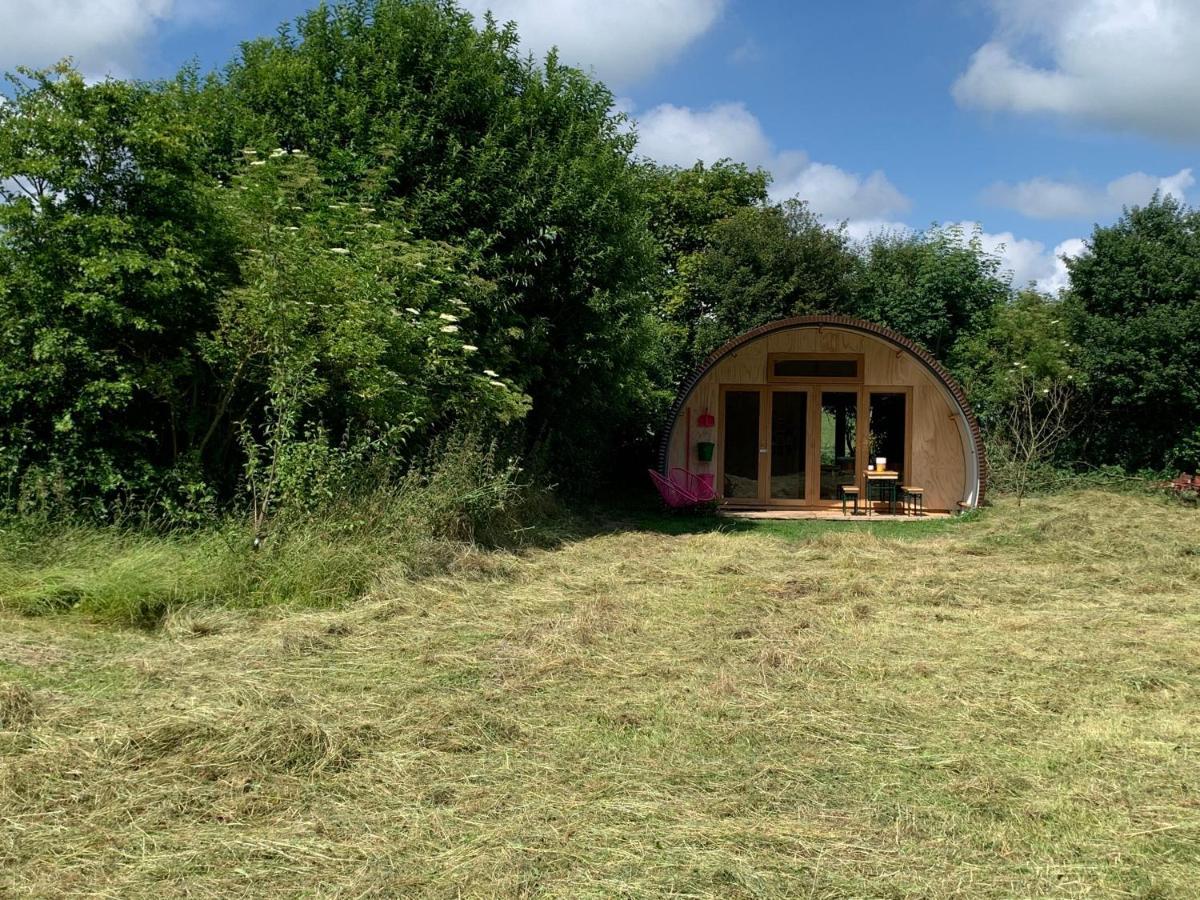 Bed and Breakfast Het Lage Noorden Marrum Esterno foto